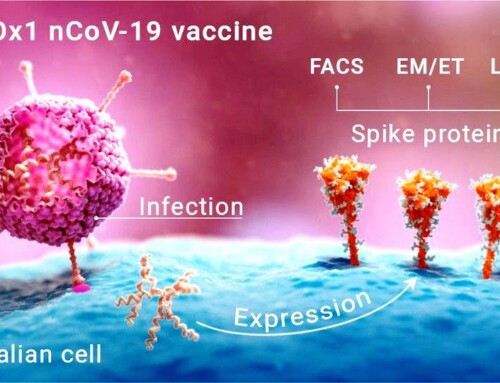 Rizika oxidovaného grafenu a spike proteinu z vakcín a jak se před nimi bránit